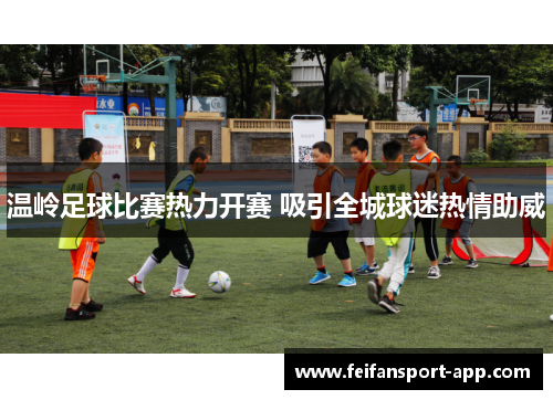 温岭足球比赛热力开赛 吸引全城球迷热情助威