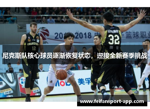 尼克斯队核心球员逐渐恢复状态，迎接全新赛季挑战