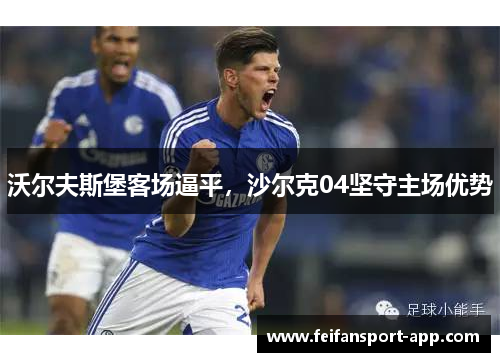 沃尔夫斯堡客场逼平，沙尔克04坚守主场优势