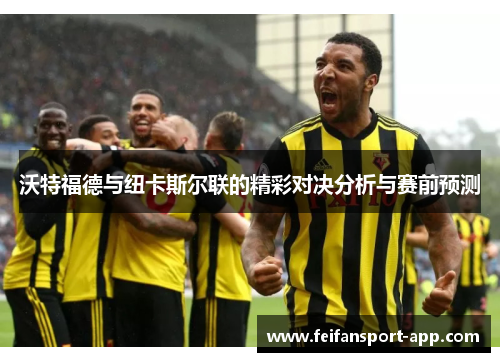 沃特福德与纽卡斯尔联的精彩对决分析与赛前预测